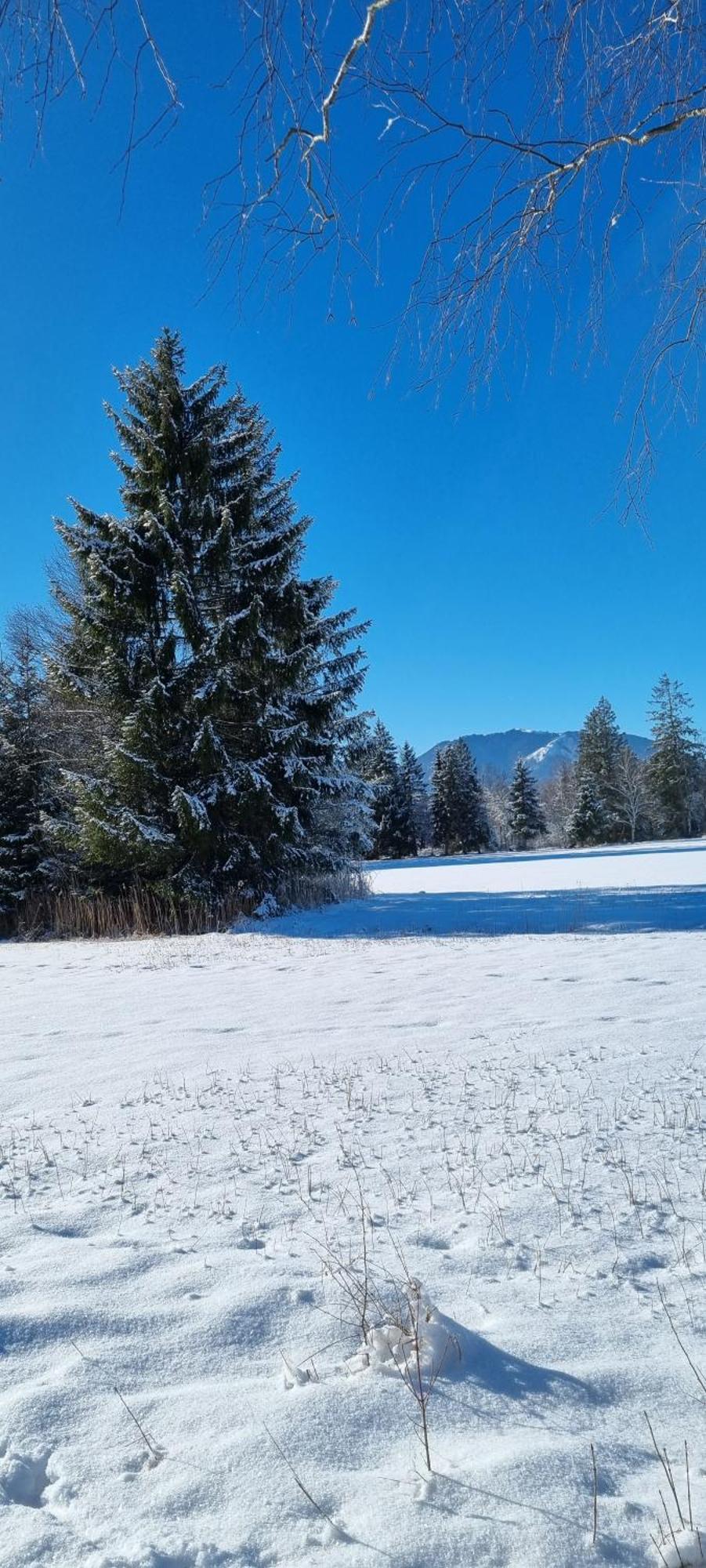 Boutique Hotel Angerer Murnau am Staffelsee Zewnętrze zdjęcie