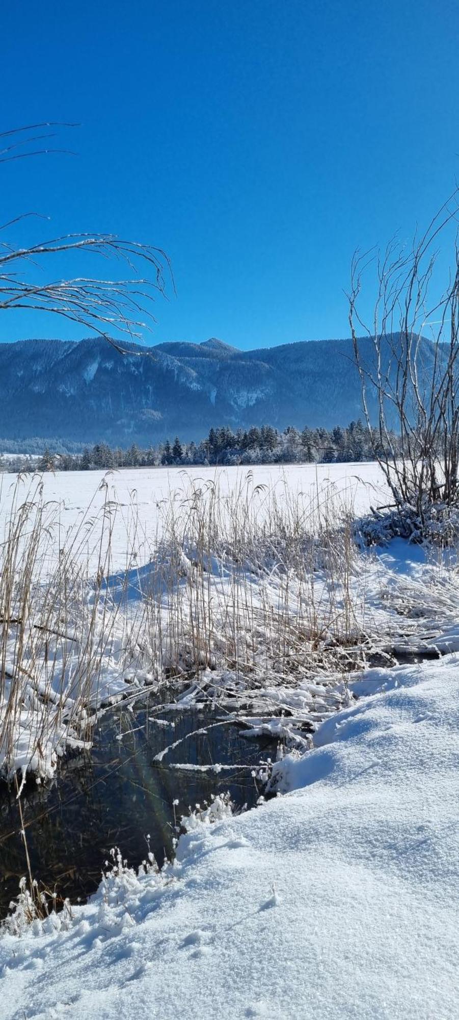 Boutique Hotel Angerer Murnau am Staffelsee Zewnętrze zdjęcie