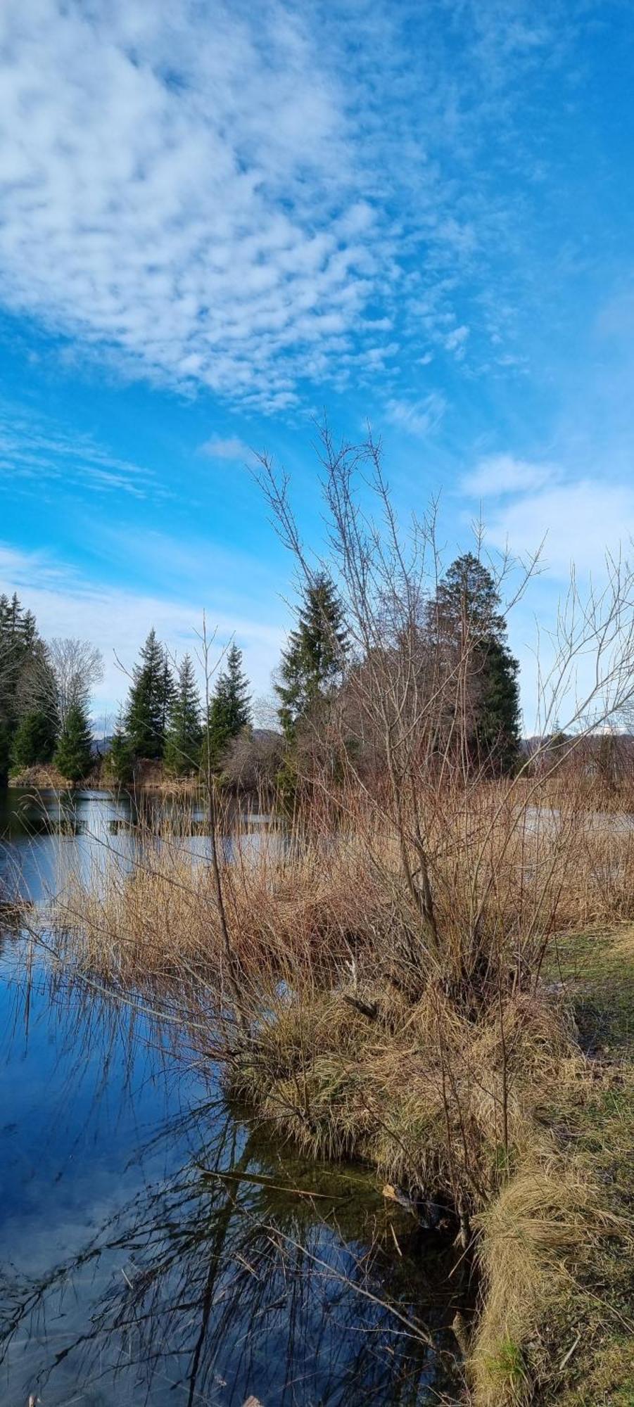 Boutique Hotel Angerer Murnau am Staffelsee Zewnętrze zdjęcie